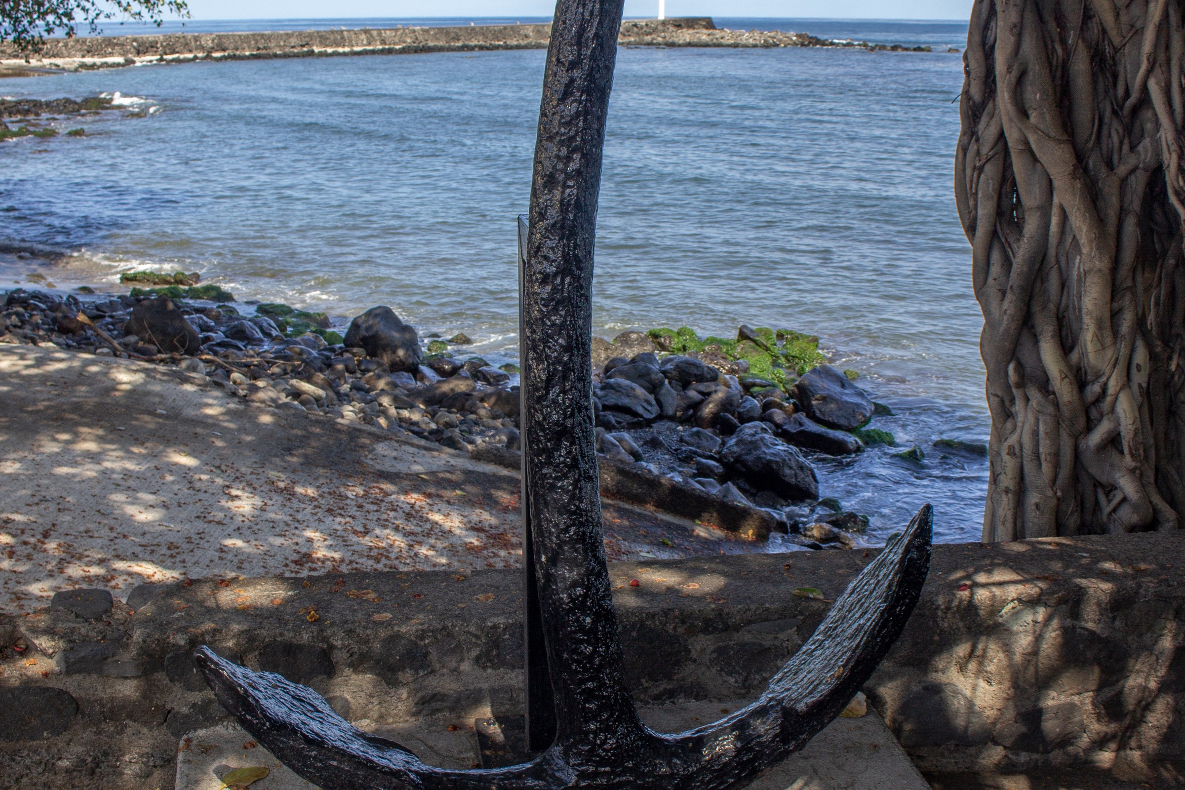 L'ancre marine posée sous les filaos, en bordure du sentier du littoral
