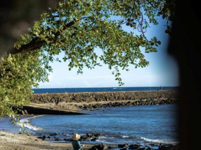 Pêcheur en bord de mer sous les arbres à Terre-Sainte
